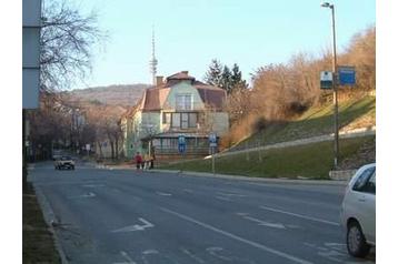 Венгрия Privát Pécs, Экстерьер